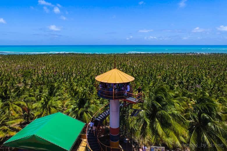 Descubra as Belezas Paradisíacas das Praias do Francês e do Gunga com uma Excursão Privada!