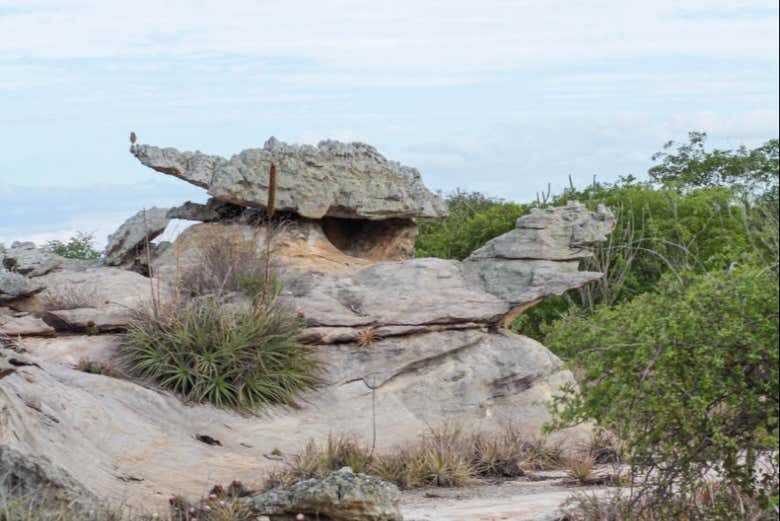 Exploração Imperdível: Excursão a Delmiro Gouveia Partindo de Maceió!