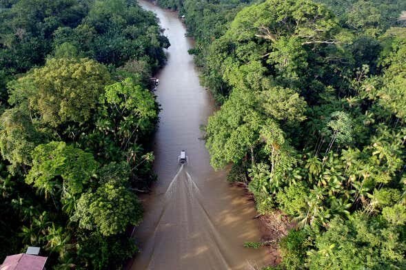 Passeio de Barco pela Ilha do Combú: Natureza e Chocolate Amazônico!