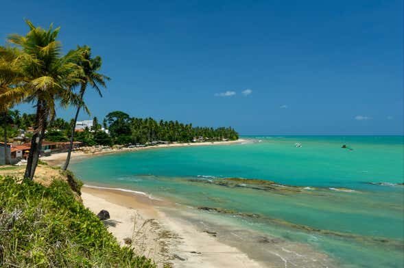 Descubra as Piscinas Naturais de Japaratinga com um Incrível Passeio de Barco!