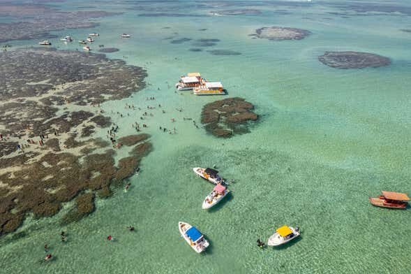 Explore as Maravilhas Subaquáticas: Passeio de Lancha pelas Piscinas Naturais de Maragogi!
