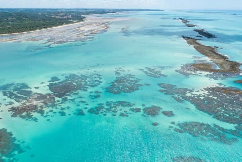 Descubra as Piscinas Naturais de Japaratinga com um Incrível Passeio de Barco!