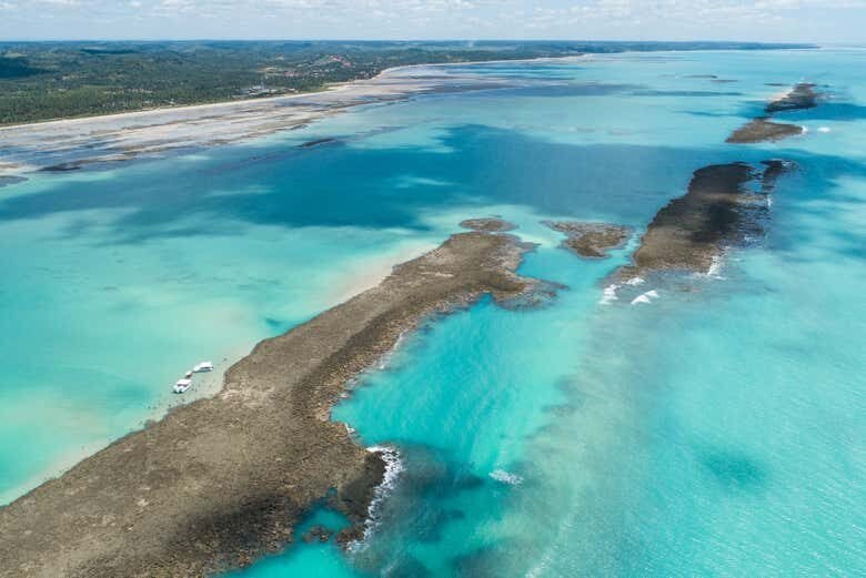Descubra as Piscinas Naturais de Japaratinga com um Incrível Passeio de Barco!
