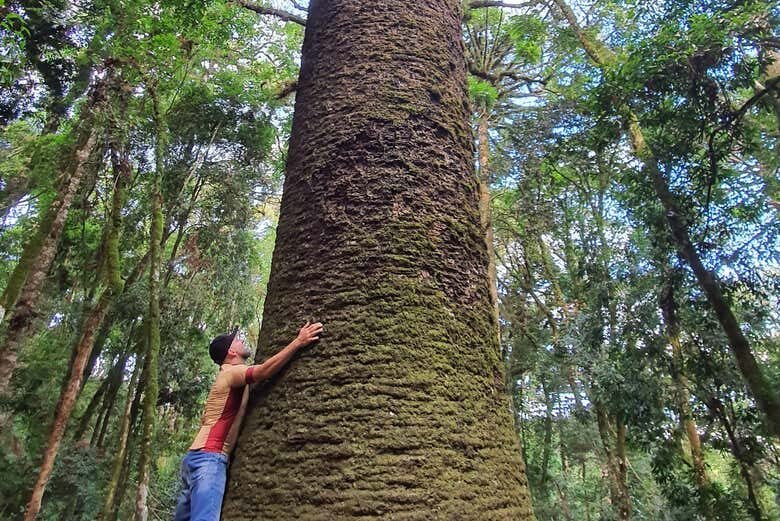 Pedal Rural com Degustação em Nova Petrópolis!