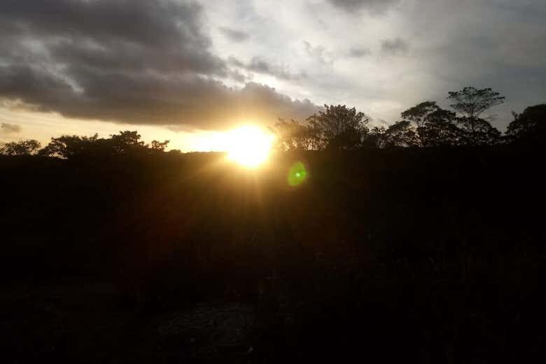 Exploração na Natureza de Alagoas: Excursão a Chã Preta e Serra Lisa!