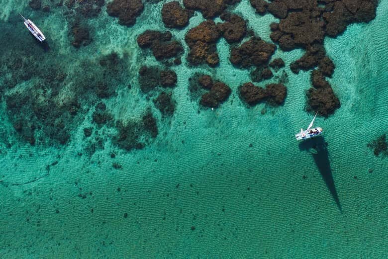 Descubra as Maravilhas de Porto de Galinhas com Saída de Maragogi!