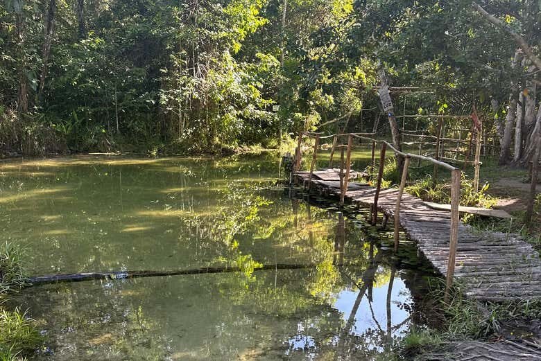 Desbrave a Reserva Indígena Potiguara: Uma Experiência Cultural Única!