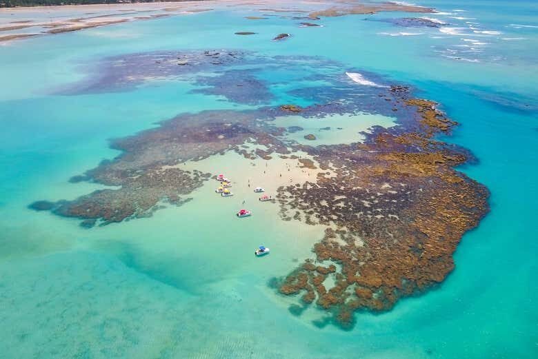 Explore as Maravilhas Subaquáticas: Passeio de Lancha pelas Piscinas Naturais de Maragogi!