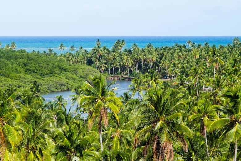 Descubra as Belezas de São Miguel dos Milagres com Tour Personalizado!