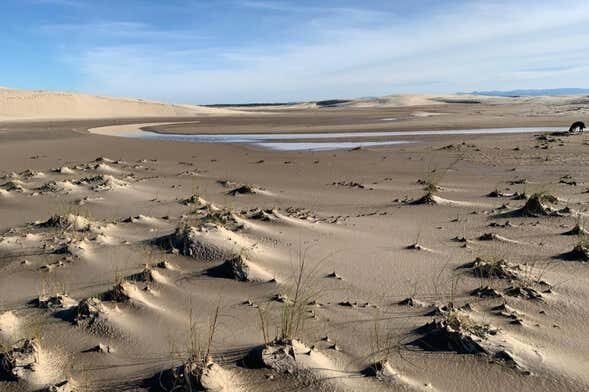 Trilha pelo Parque das Dunas de Tramandaí: natureza e vento no rosto!