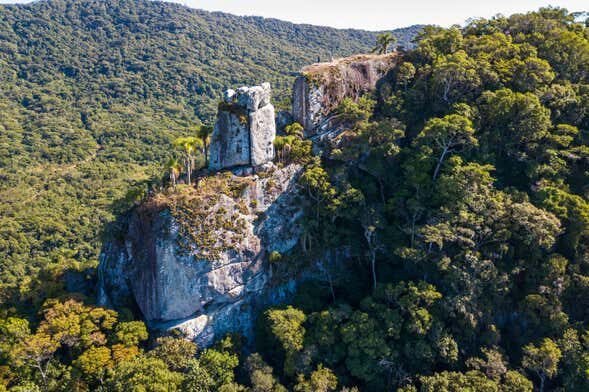 Exploração da Trilha da Pedra Branca em Garopaba!