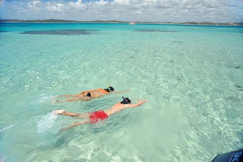 Explore o Paraíso Tropical de Maragogi em uma Incrível Excursão de Maceió