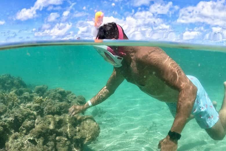 Excursão para as Praias Paradisíacas de São Miguel dos Milagres a partir de Maceió!
