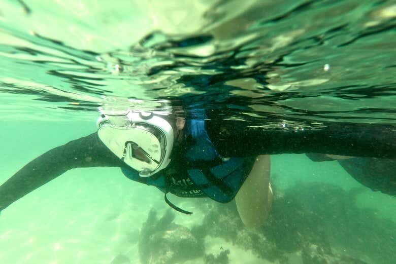 Aventuras Submarinas: Snorkel na Praia da Sepultura e Desfrute de Bombinhas!