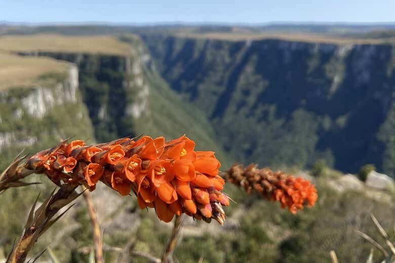 Pedalada no Cânion Fortaleza — Aventura sobre duas rodas!