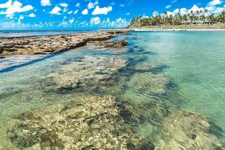 Explore Maragogi de Buggy: Uma Aventura Incrível pelo Caribe Brasileiro!