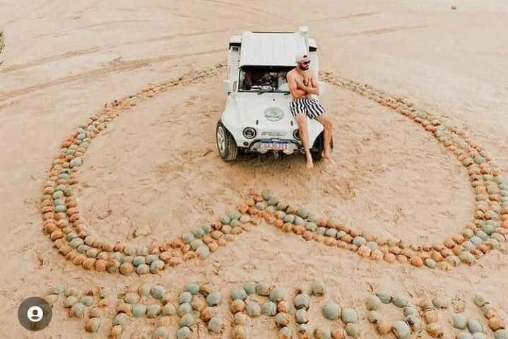 Explore Maragogi de Buggy: Uma Aventura Incrível pelo Caribe Brasileiro!