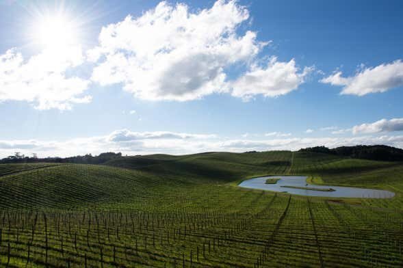 Conheça a Rota dos Caminhos da Colônia: História, Cultura e Vinhos na Serra Gaúcha!