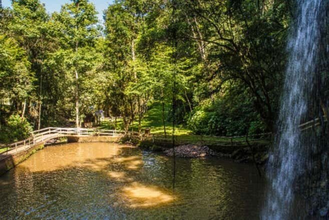 Conheça a Rota dos Caminhos da Colônia: História, Cultura e Vinhos na Serra Gaúcha!
