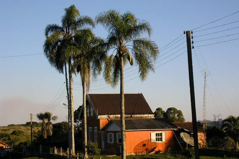 Explore as Maravilhas Naturais de Caxias do Sul: Tour pelo Cânion dos Palanquinhos e Campos de Criúva!