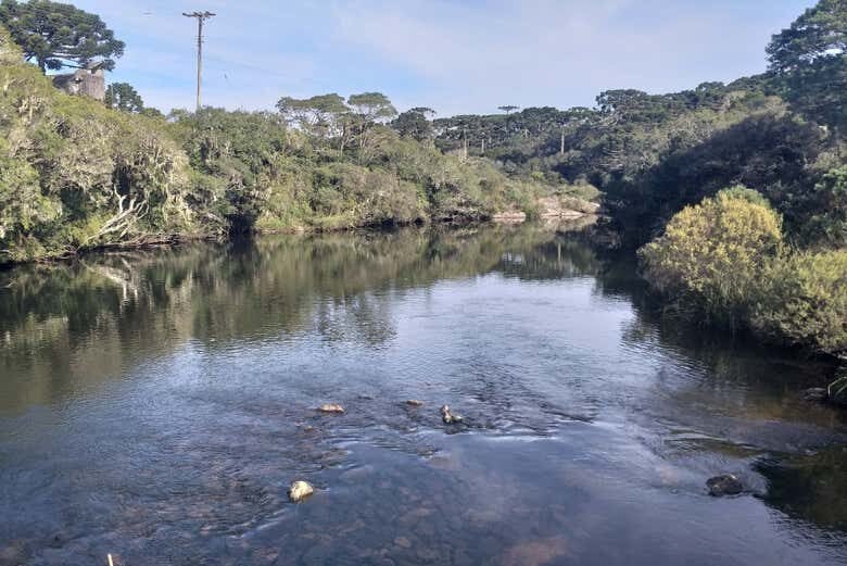 Explore a Natureza no Cânion Itaimbezinho: Tour Imperdível Saindo de Caxias do Sul!