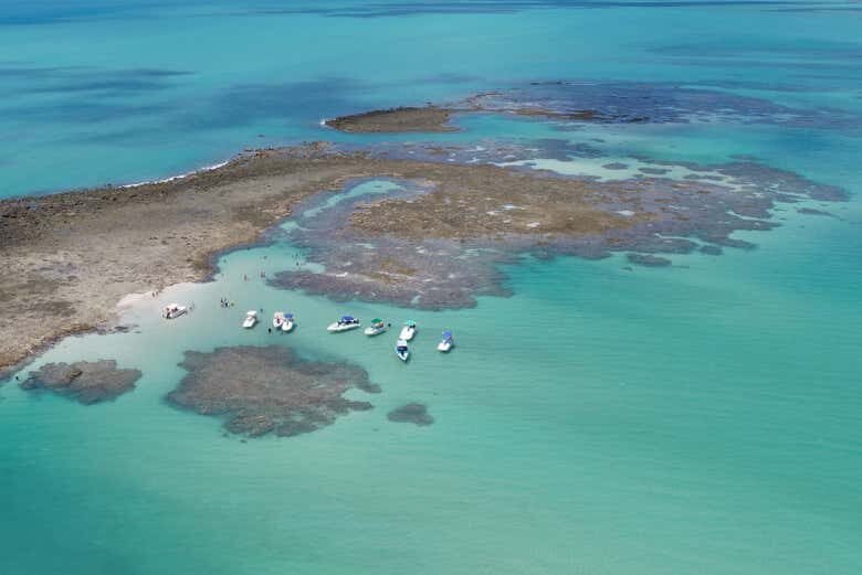 Explore a Beleza das Piscinas Naturais de Japaratinga em um Passeio de Barco!