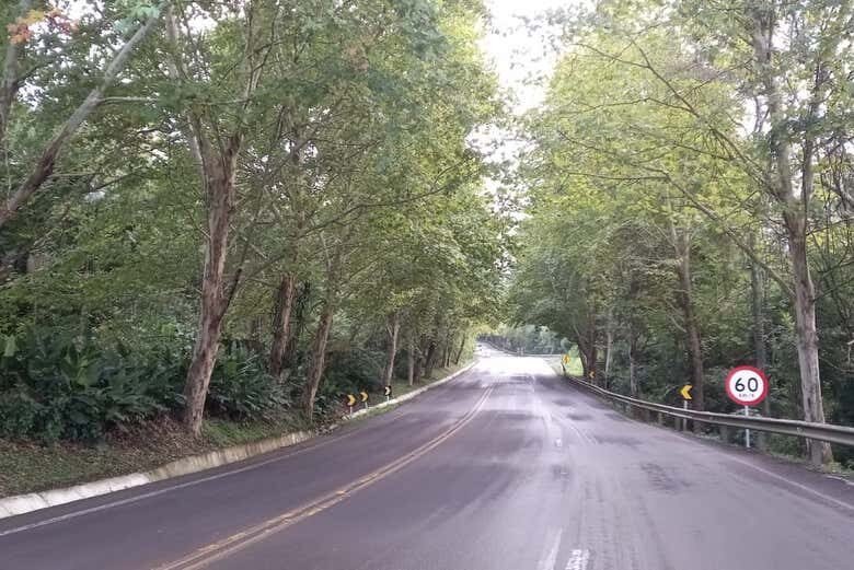 Tour de Compras por Novo Hamburgo e Igrejinha: A Capital do Calçado Espera por Você!