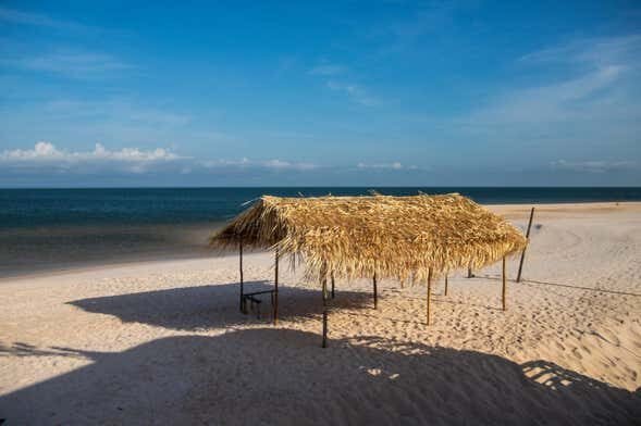 Vivência Ribeirinha no Tapajós: 1 ou 2 dias de cultura e natureza amazônica!