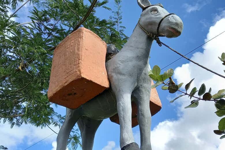 Trilha Noturna e Jantar Típico nos Encantadores Campos de Criúva!