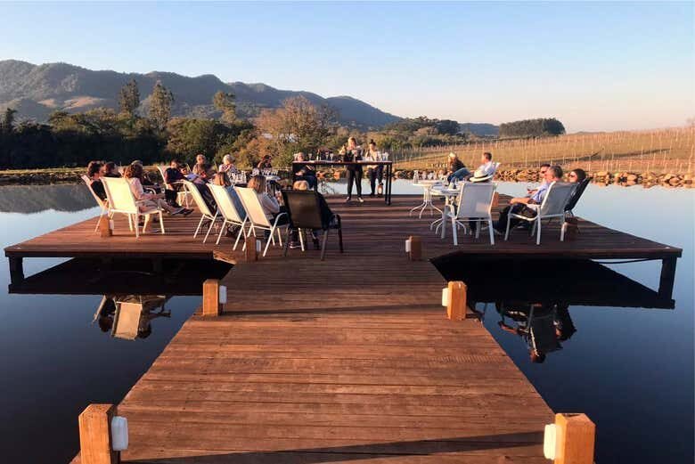 Tour e Degustação na Vinícola Domus Mea: Um Happy Hour Inesquecível!