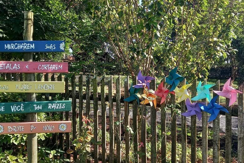 Tour Rural por Flores da Cunha: Natureza e Tradição no RS!