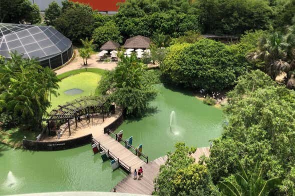 Parques Amazônicos de Belém: Fauna e Flora no Coração da Cidade!