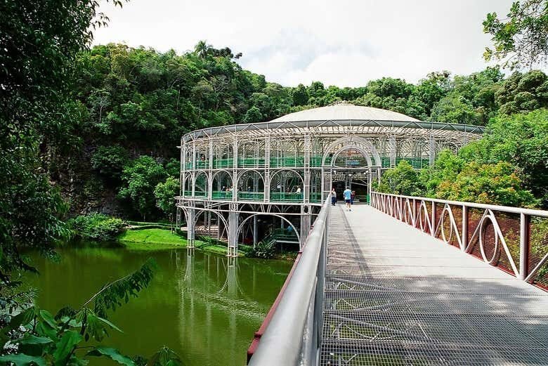 Tour Privado por Curitiba: Explore a Capital Ecológica do Brasil!