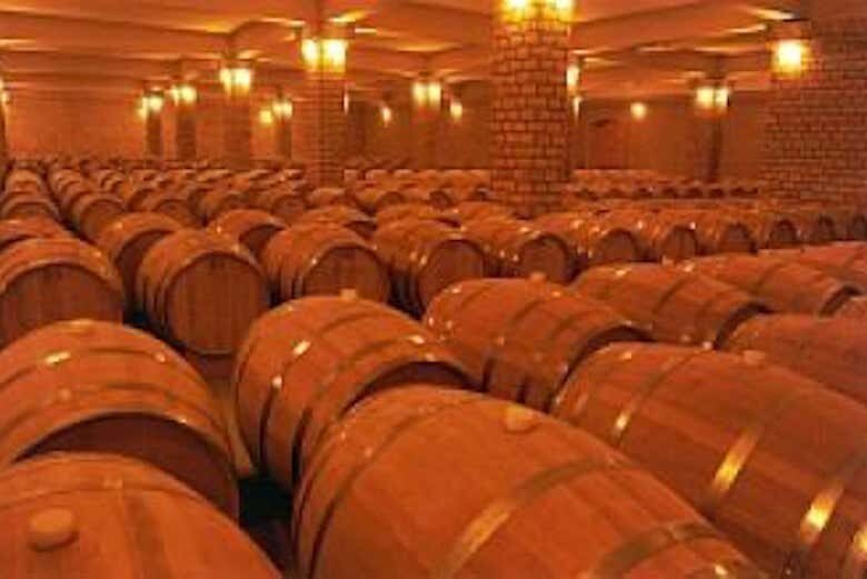 Tour Vale do Rio das Antas & Vinícolas da Serra Gaúcha — Uma imersão entre montanhas e sabores!