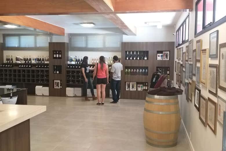 Tour do Vinho por Caxias do Sul e Flores da Cunha!