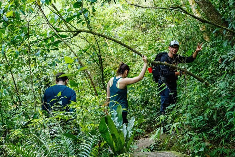 Descubra a Trilha do Rio do Boi: Aventura no Cânion Itaimbezinho!