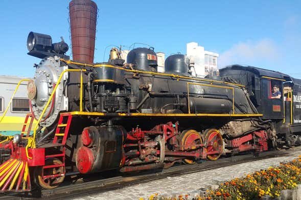 Trilhos, Vinhos e Histórias: Tour de Maria Fumaça + Vinícola em Bento Gonçalves!