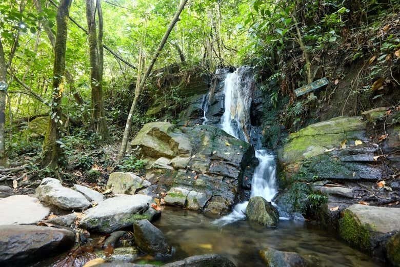 Trilha pelas Cachoeiras Bonsucesso: Uma Aventura na Natureza de Pirenópolis!