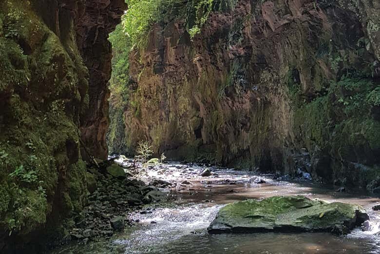 Trilha do Gavião: Aventura e Cachoeira em Três Coroas!
