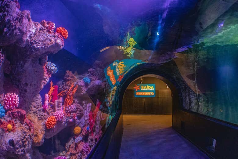 Descubra o Mundo dos Piratas na Aventura Pirata em Balneário Camboriú!