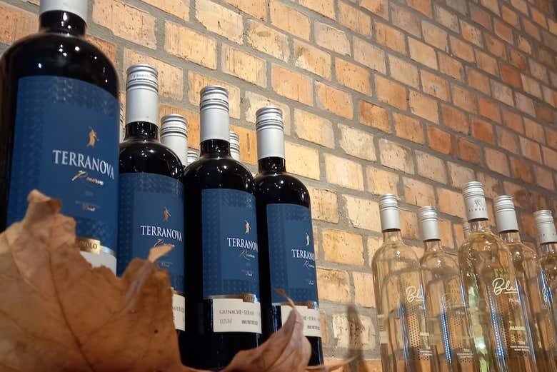 Sabores da Serra: Tour ao Vale dos Vinhedos saindo de Caxias do Sul!