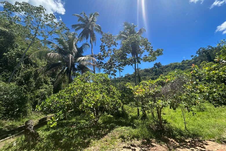 Exploração Imperdível: Excursão a Delmiro Gouveia Partindo de Maceió!