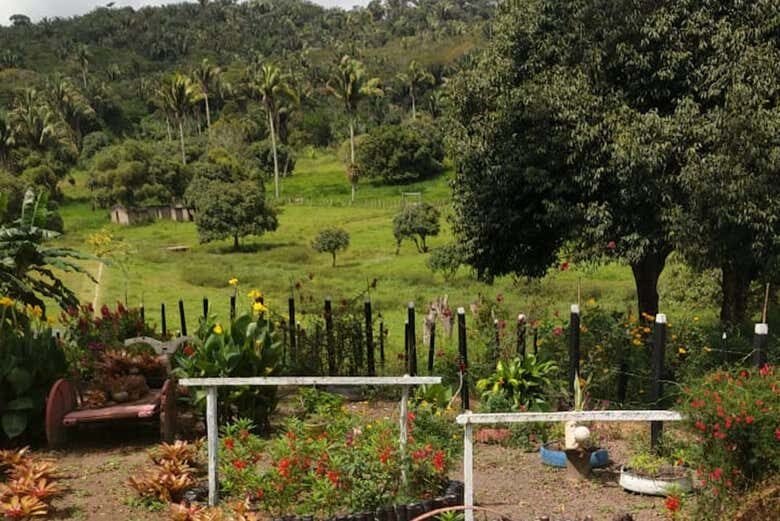 Exploração na Natureza de Alagoas: Excursão a Chã Preta e Serra Lisa!