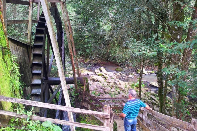 Tour Antônio Prado — História e Cultura Italiana!