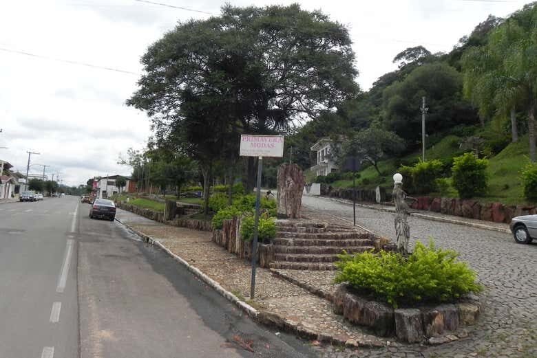 Tour Histórico e Paleontológico: Santa Maria e Mata em um Dia!