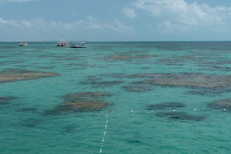 Maracajaú: Snorkel nos Parrachos do Caribe Brasileiro saindo de Natal!