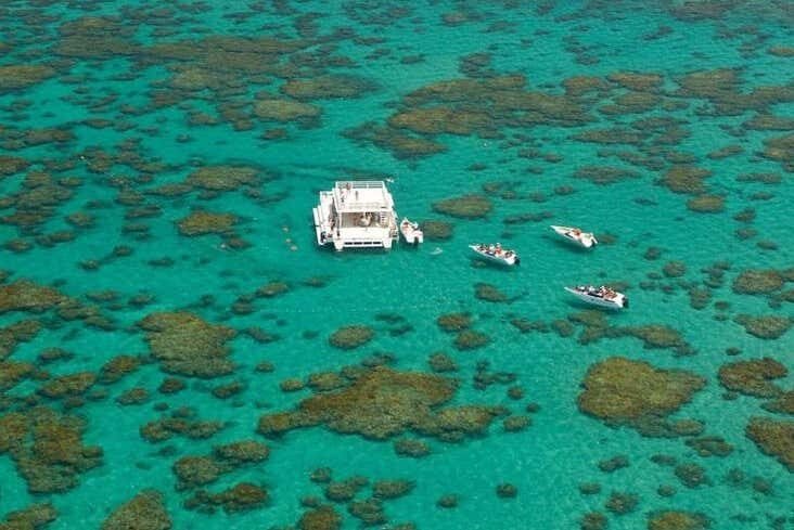 Maracajaú: Snorkel nos Parrachos do Caribe Brasileiro saindo de Natal!