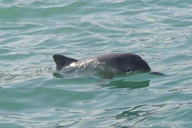 Navegando pelo Cartão-Postal de Natal: Passeio de Barco no Morro do Careca!