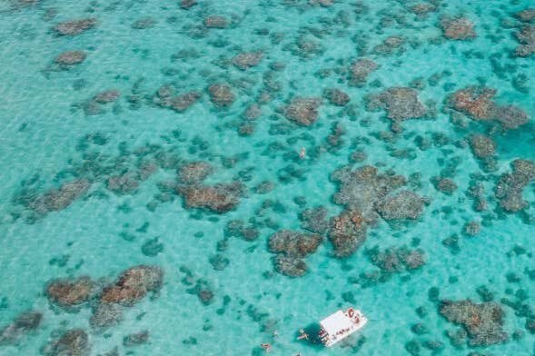 Parrachos de Maracajaú: Catamarã + Snorkel em Águas Cristalinas!