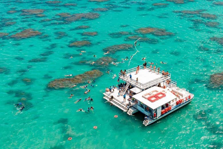 Parrachos de Maracajaú: Catamarã + Snorkel em Águas Cristalinas!